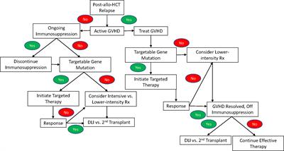 Treatment of AML Relapse After Allo-HCT